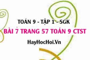 Bài 7 trang 57 Toán 9 tập 1 Chân trời sáng tạo